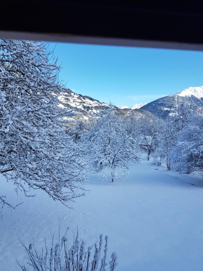 Montafon Alpen Chalet Vandans Dış mekan fotoğraf